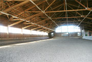 Reithallen